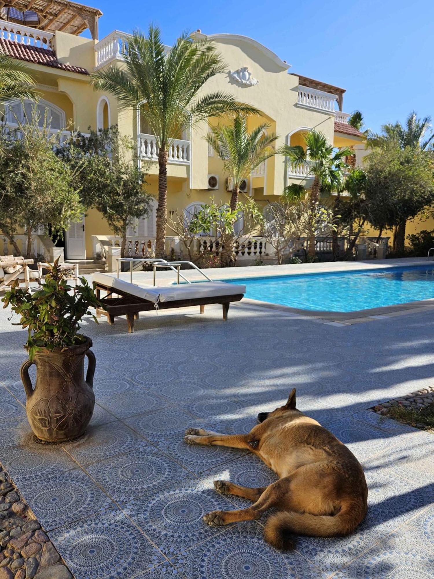 Villa Shahrazad Hurghada Eksteriør billede